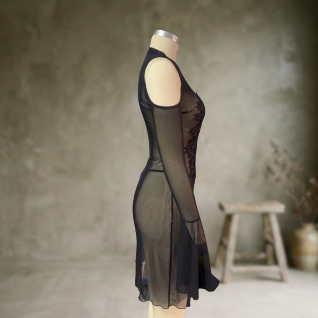 Selene | Robe moulante en tulle brodé