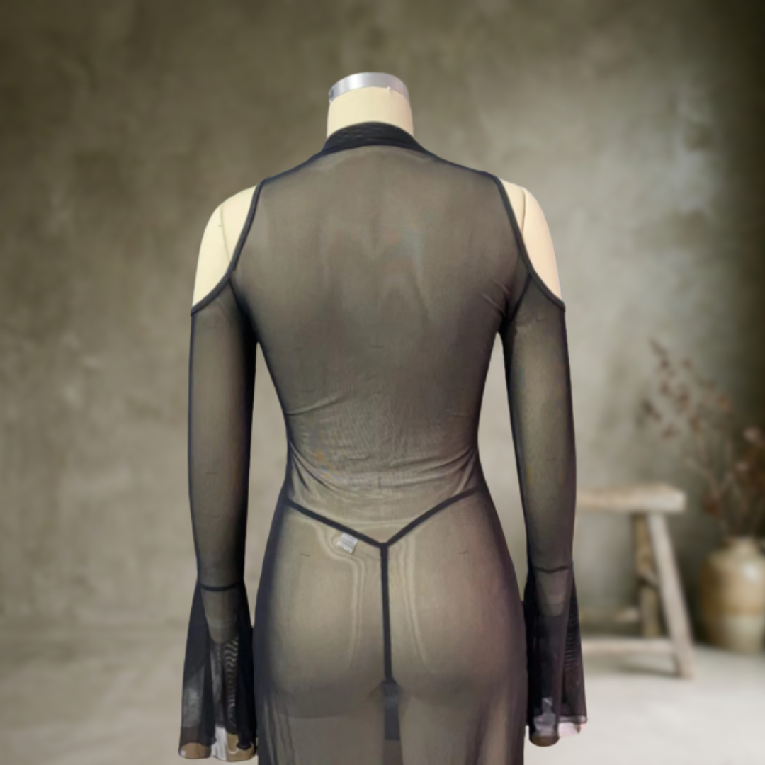 Selene | Robe moulante en tulle brodé